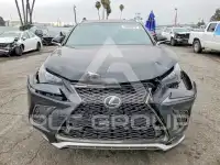 2019 Lexus NX фото