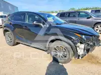 2019 Lexus NX фото