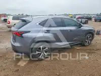 2019 Lexus NX фото