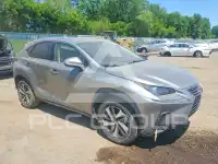 2019 Lexus NX фото