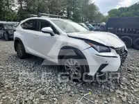 2019 Lexus NX фото