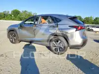 2019 Lexus NX фото
