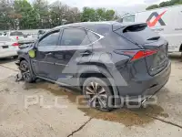 2019 Lexus NX photo