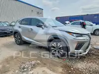 2019 Lexus NX фото
