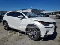 2019 Lexus NX фото