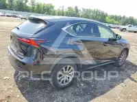2019 Lexus NX фото