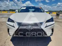 2019 Lexus NX фото