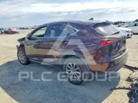 2019 Lexus NX фото