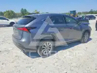2019 Lexus NX фото