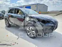 2019 Lexus NX фото