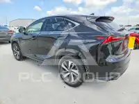 2019 Lexus NX фото