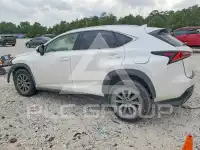 2019 Lexus NX фото