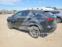 2019 Lexus NX фото