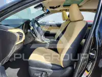2019 Lexus NX фото