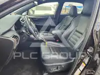 2019 Lexus NX фото
