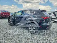 2019 Lexus NX фото