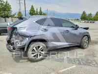 2019 Lexus NX фото
