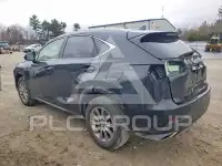 2019 Lexus NX фото