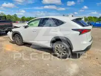 2019 Lexus NX фото