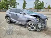 2019 Lexus NX фото