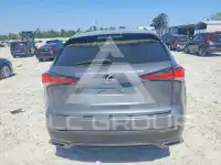 2019 Lexus NX фото