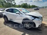 2019 Lexus NX фото