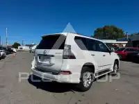2019 Lexus GX фото