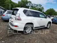 2019 Lexus GX фото