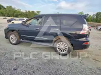 2019 Lexus GX photo