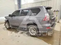 2019 Lexus GX фото