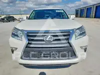 2019 Lexus GX фото
