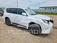 2019 Lexus GX photo