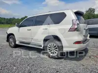 2019 Lexus GX photo