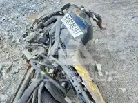 2019 Yamaha  photo