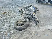 2019 Yamaha  photo
