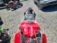 2019 Yamaha YZF1000 photo