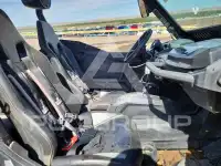 2019 Can-AM  фото