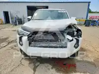 2019 Toyota 4 RUNNER photo