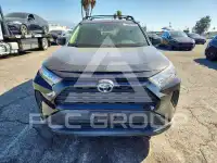 2019 Toyota RAV4 photo