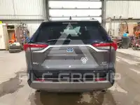 2019 Toyota RAV4 фото