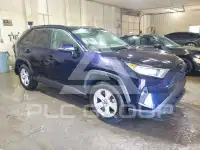 2019 Toyota RAV4 фото