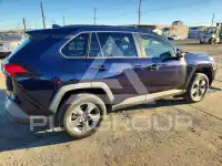 2019 Toyota RAV4 photo