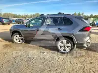 2019 Toyota RAV4 фото