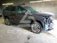2019 Toyota RAV4 photo