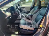 2019 Toyota RAV4 photo