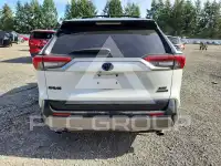 2019 Toyota RAV4 фото
