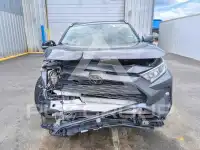 2019 Toyota RAV4 photo