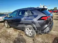 2019 Toyota RAV4 фото