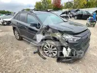 2019 Toyota RAV4 photo