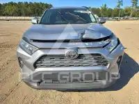 2019 Toyota RAV4 фото